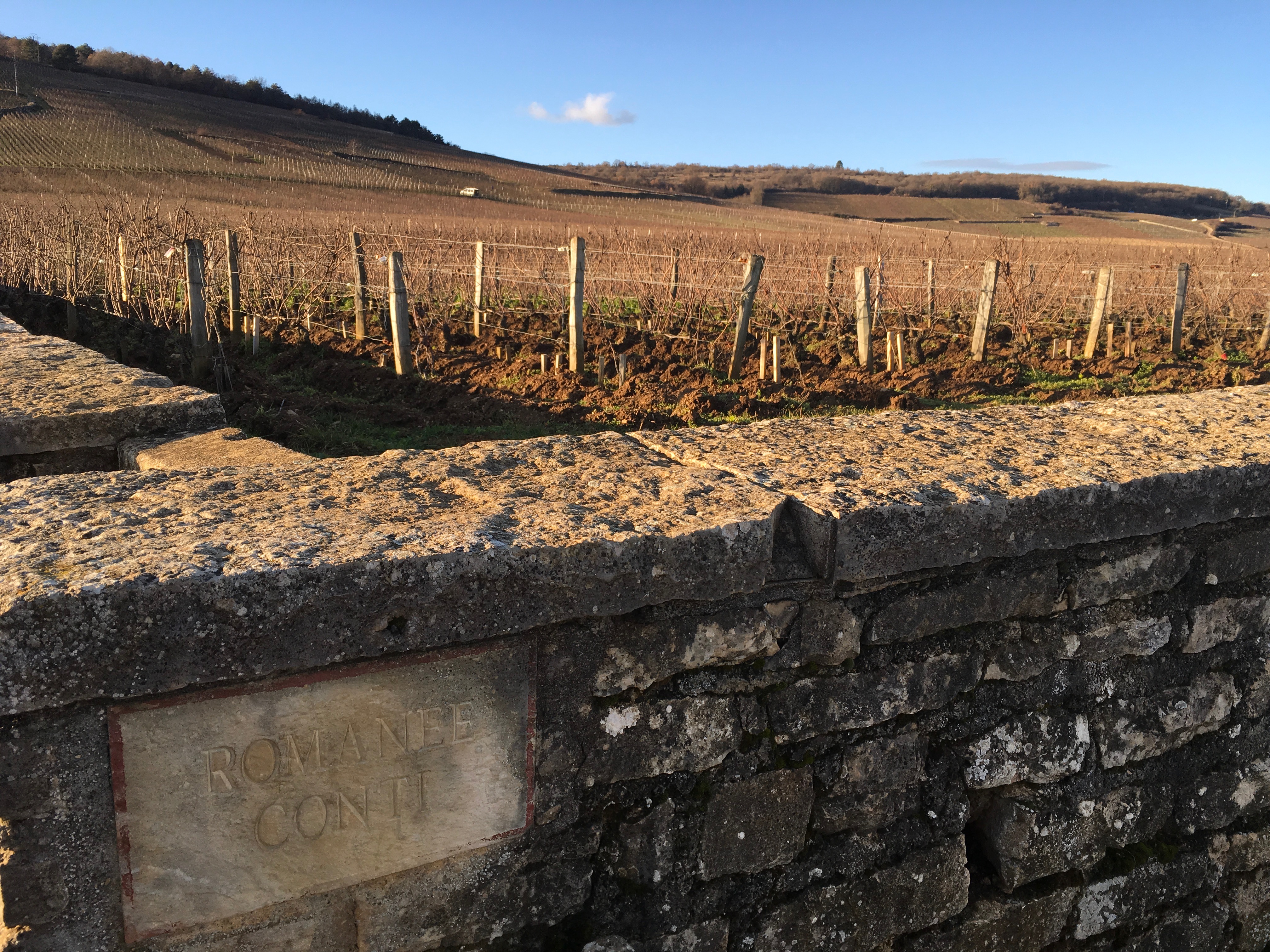 Wine Owners - Burgundy market - Romanee Conti vineyard